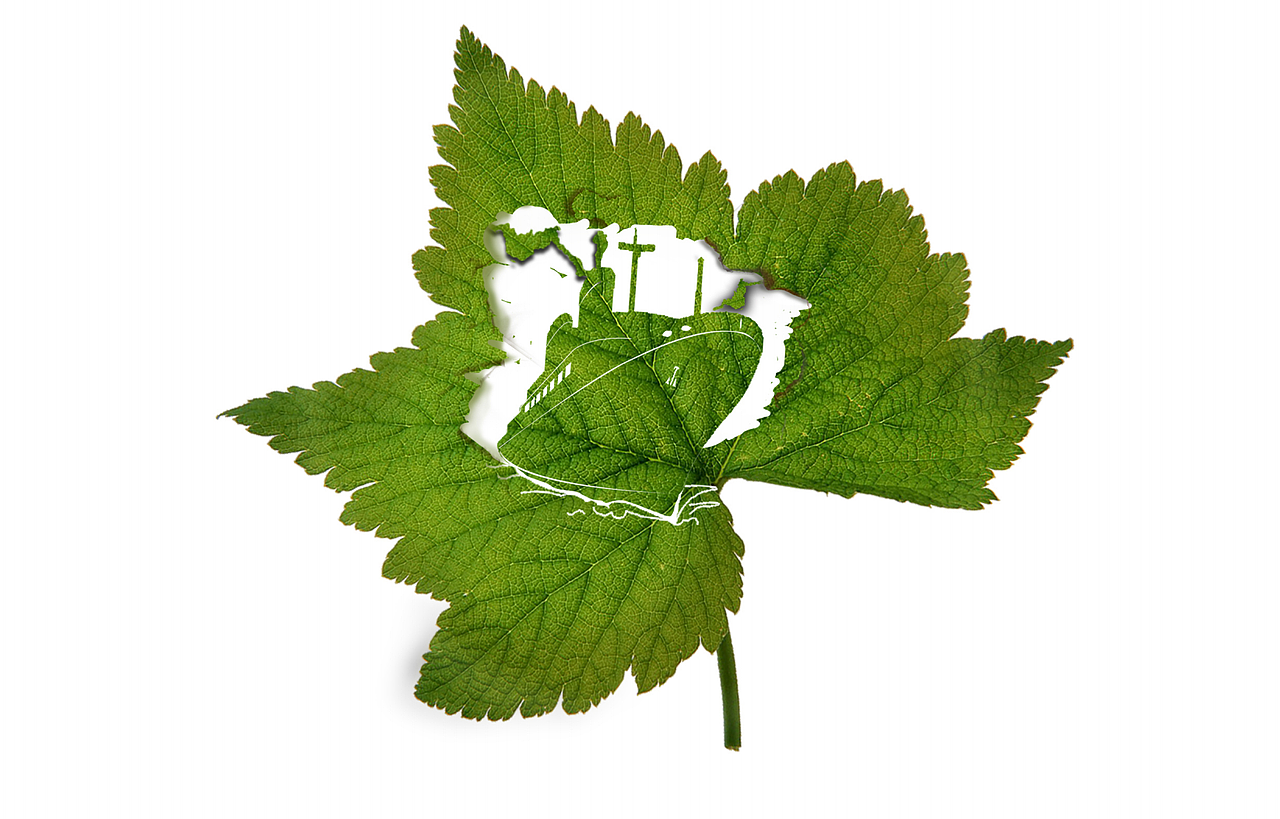 绿色行动海报画册