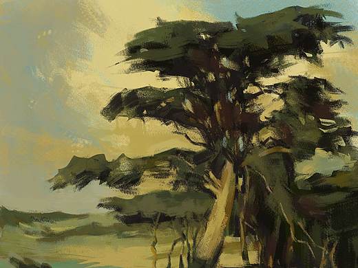 这世上没有一颗丑陋的树