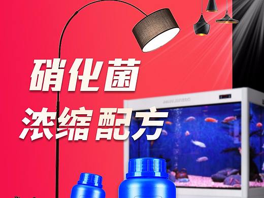 水族