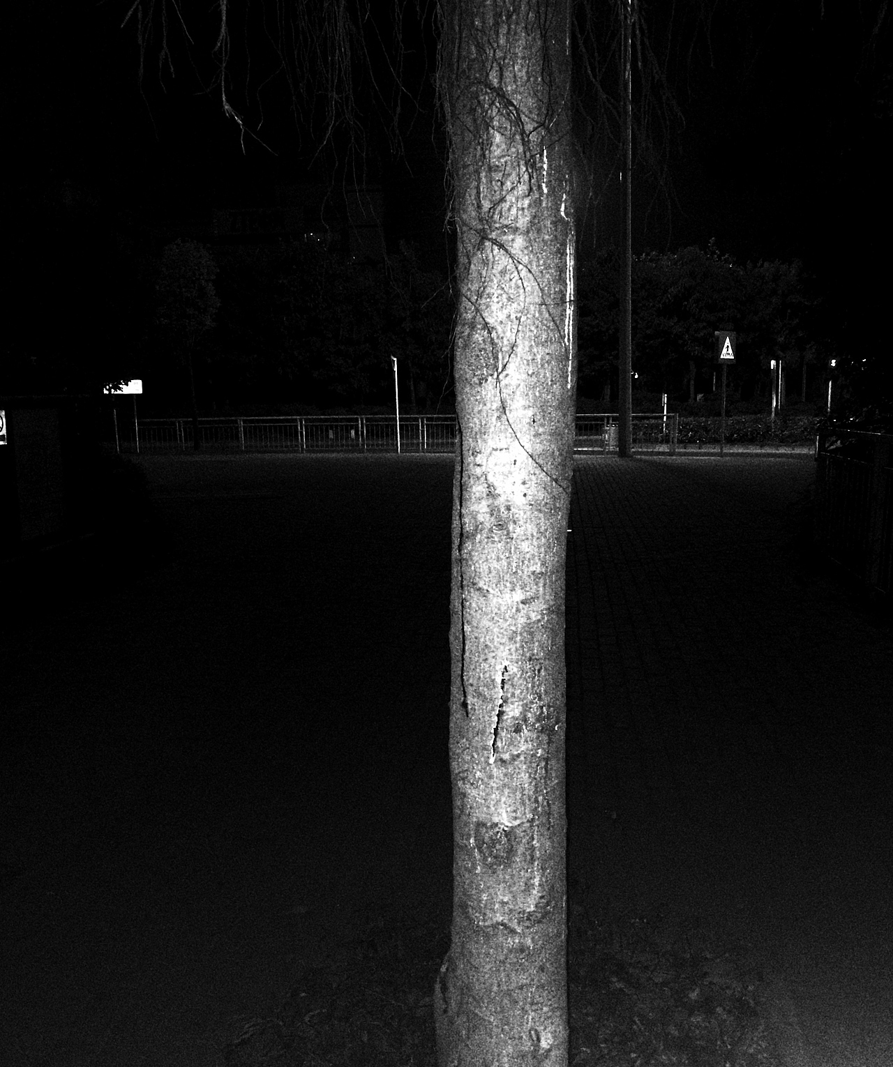 昼与夜--IPHONE 5S