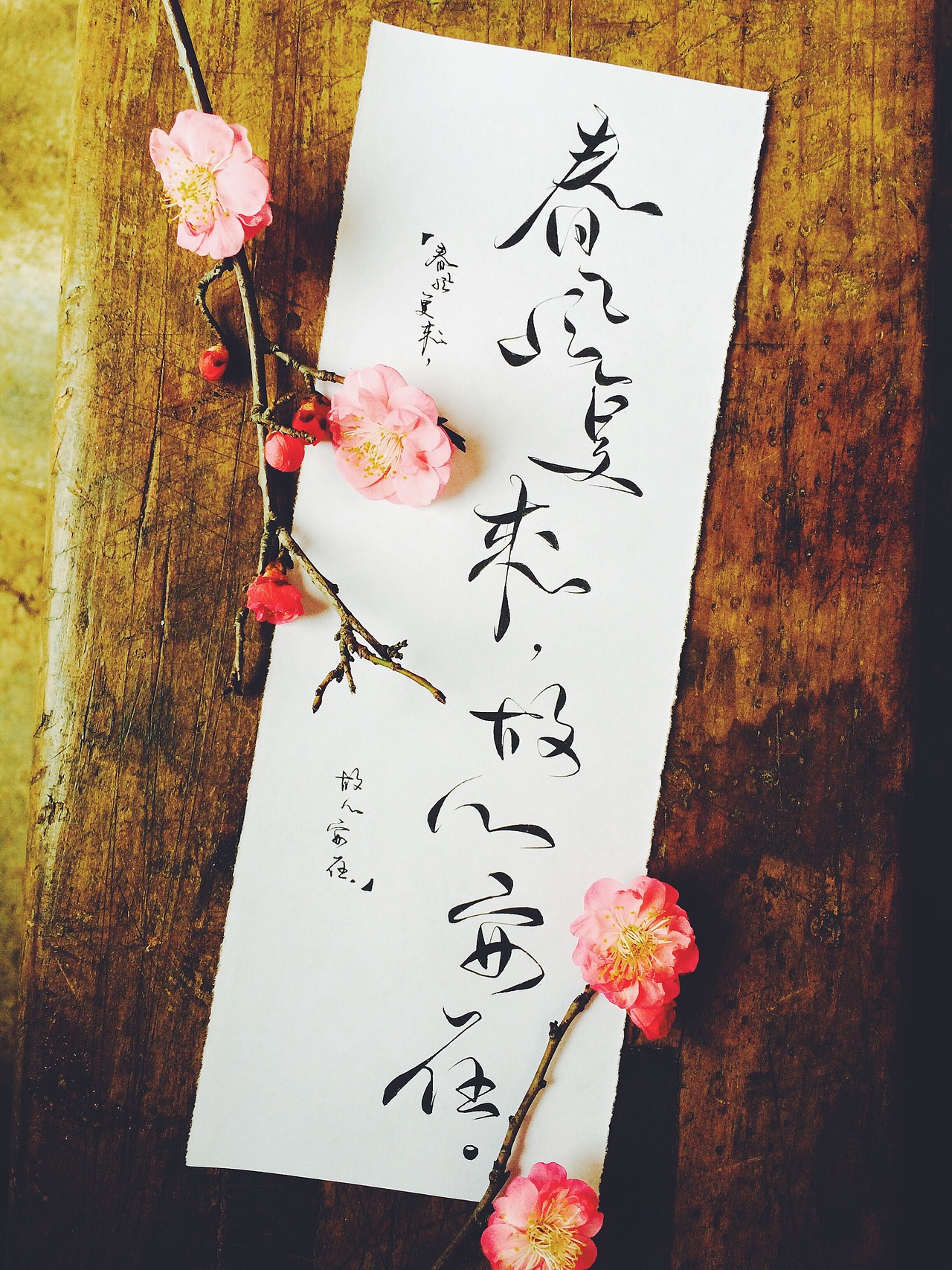 手写菊花体与君初相识