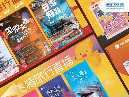 物料_飞猪粉丝节旅行直播提案