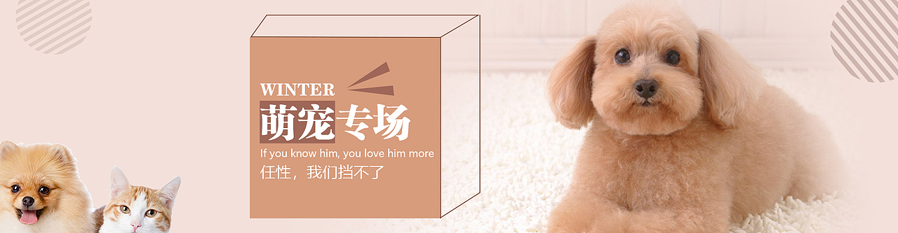 宠物banner（图ZMjE0MTQ5MDI0） - 宣传物料 - 站酷设计师林智豪原创素材 - 站酷ZCOOL