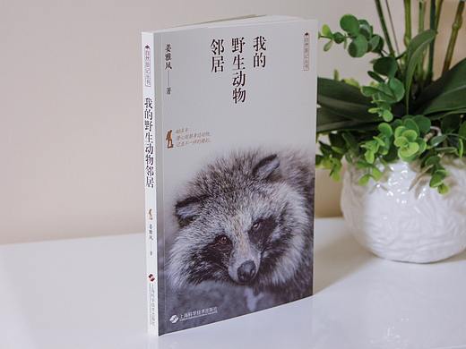 2020年第5本图书的封面设计（正式稿与飞机稿）