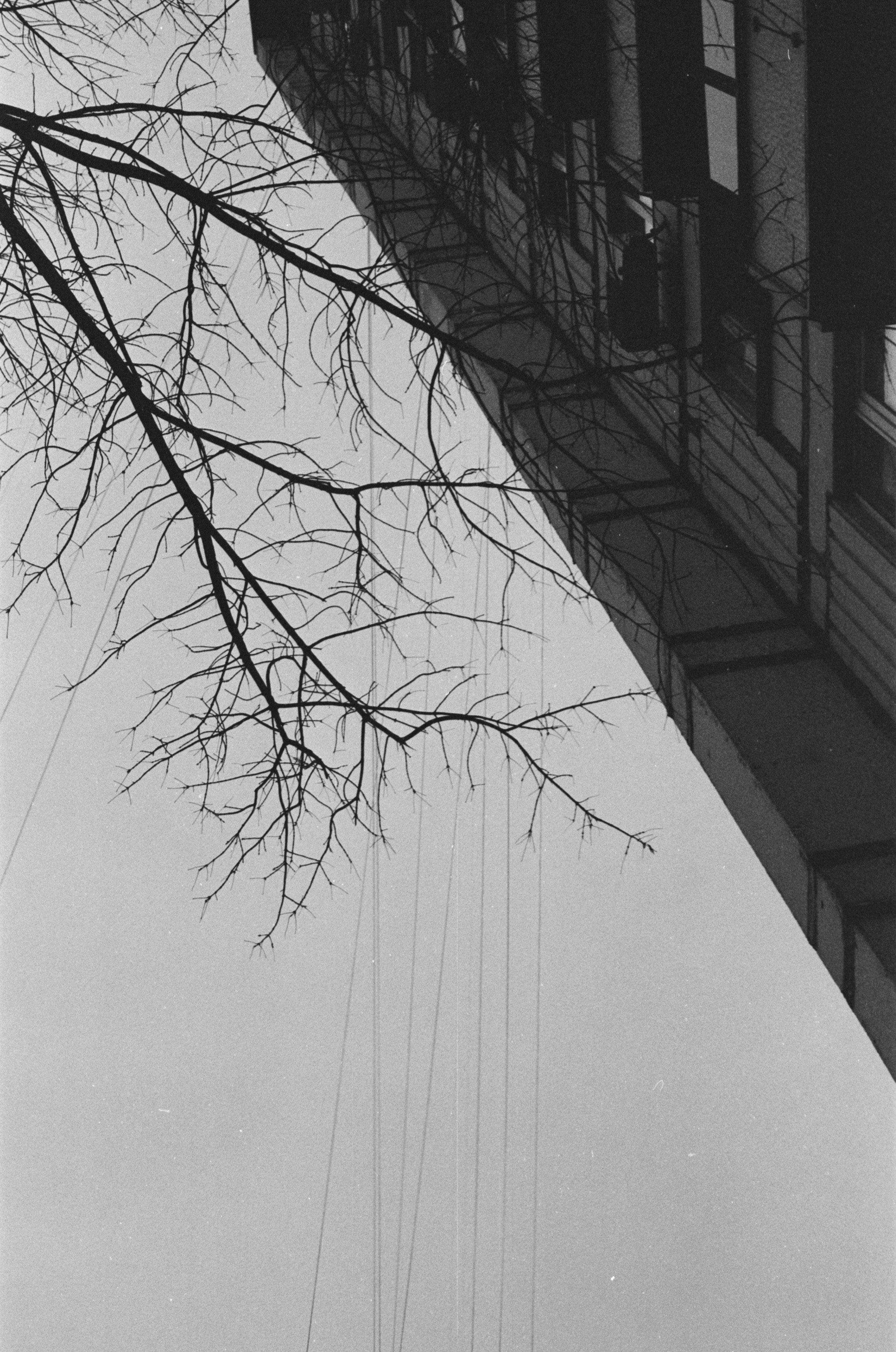 林林lllll的个人主页（封面预览） - 主页封面设置 - 站酷设计师林林lllll原创素材 - 站酷ZCOOL