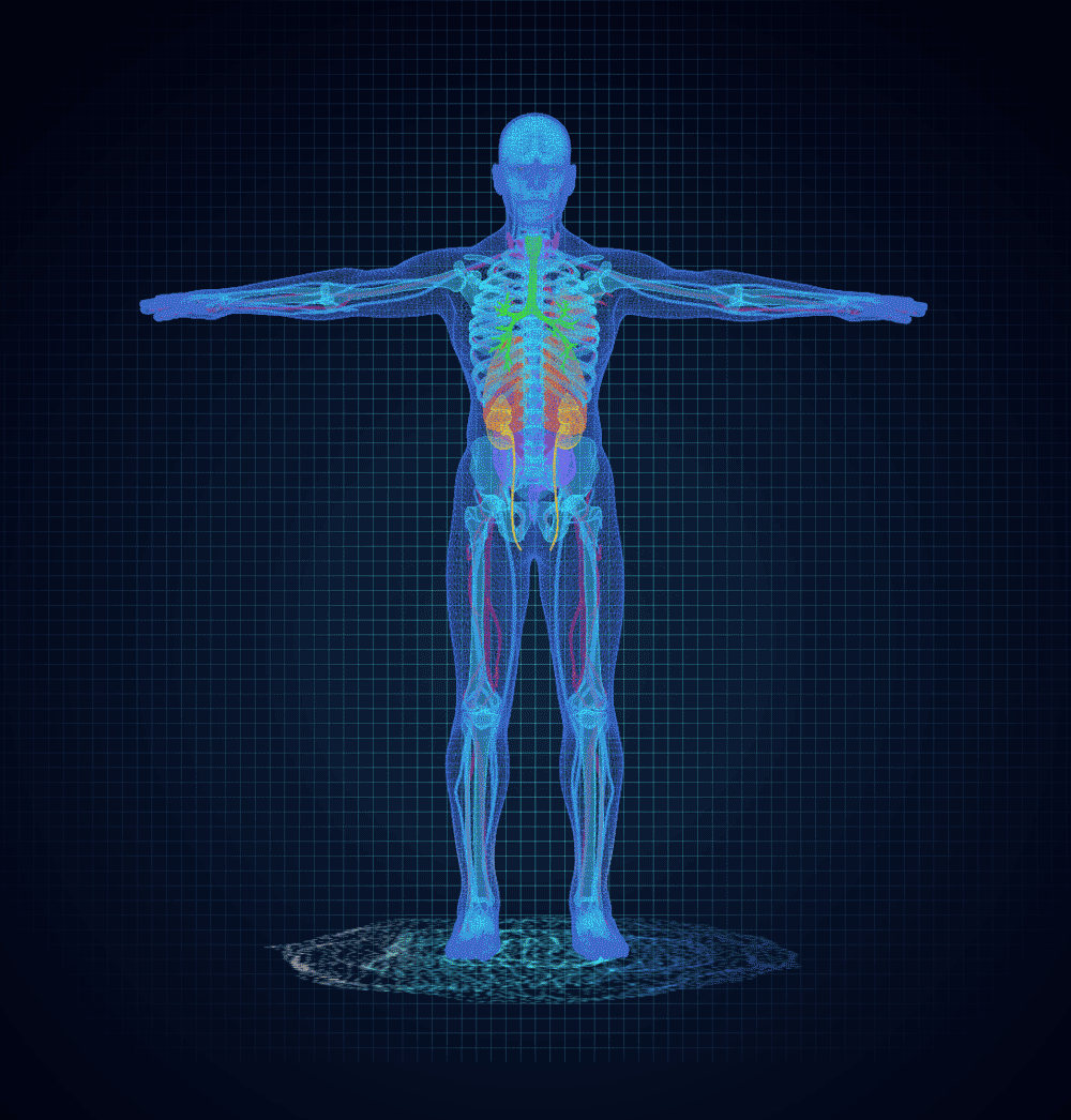 B端产品-360 PATIENT HOLOGRAPHIC数据可视化