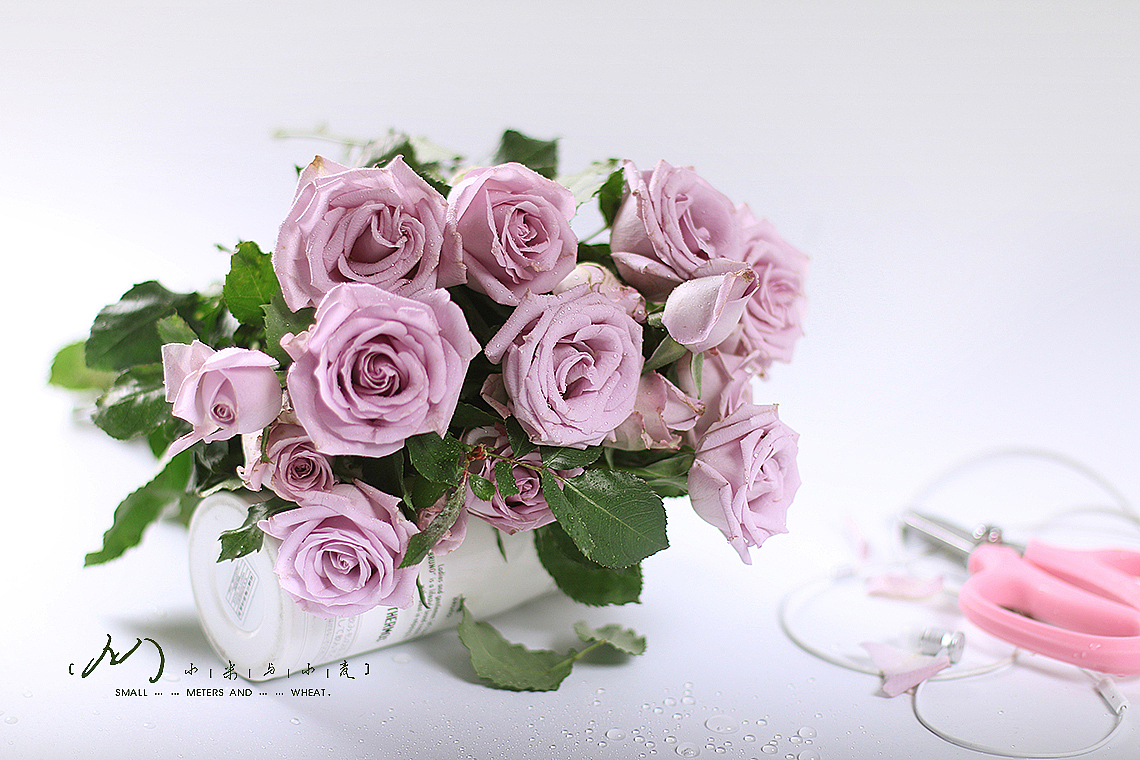 Flower-紫精灵（图ZOTc2MjE0ODQ=） - 产品摄影 - 站酷设计师小米与小麦原创素材 - 站酷ZCOOL