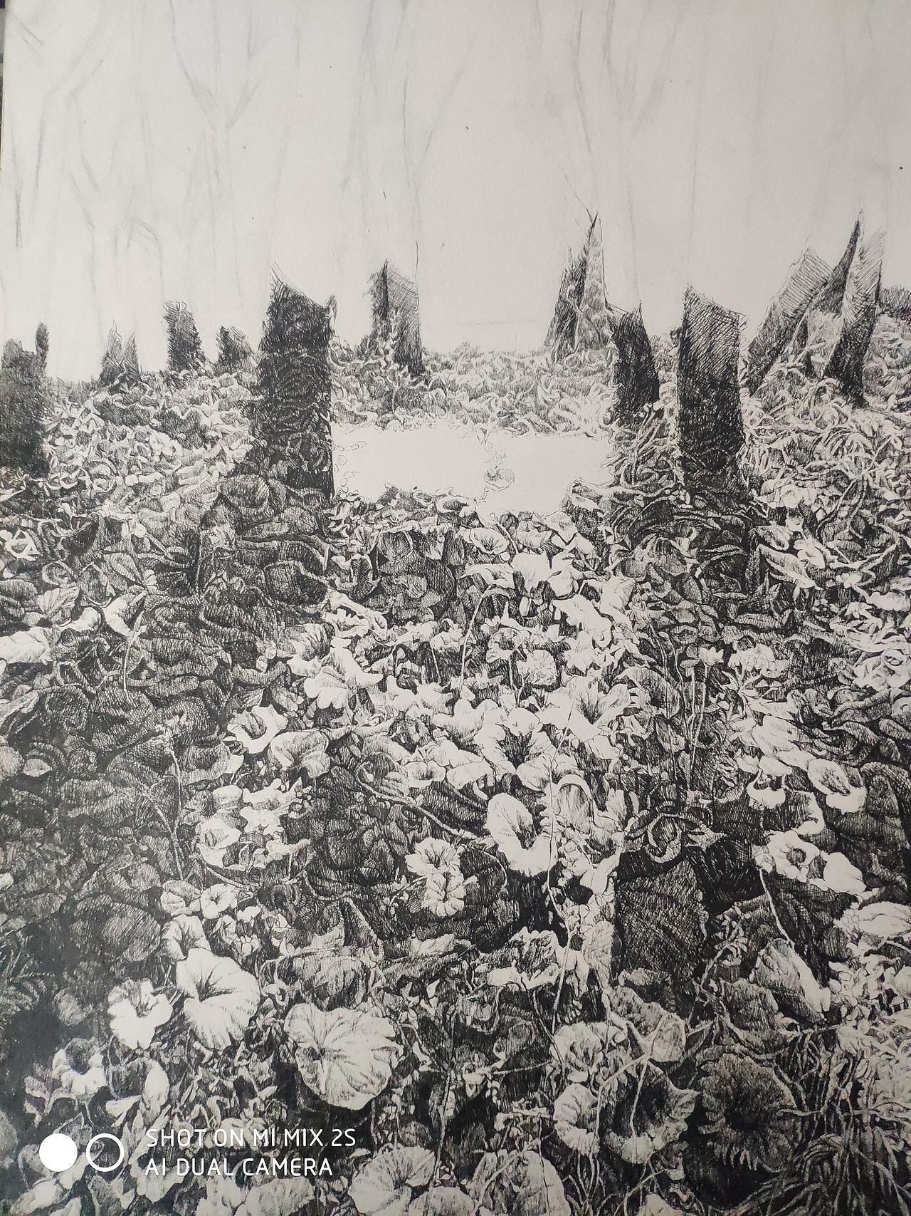 花,画;黑白画,黑白花