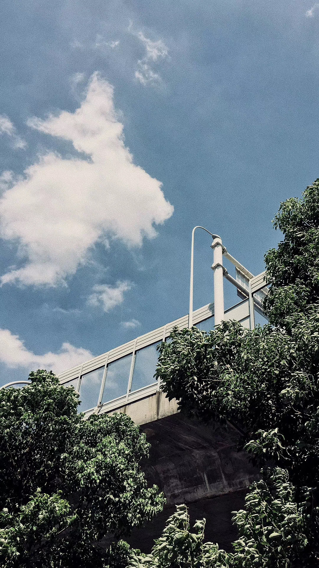 穿过云海和原野（图ZMjI0OTgyMzYw） - 风光摄影 - 站酷设计师石楠0929原创素材 - 站酷ZCOOL