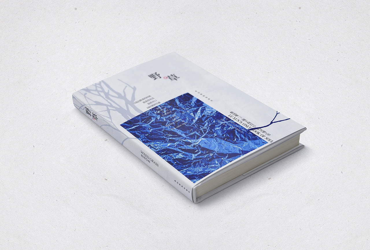 版式练习 × COVER DESIGN（图ZMjA0MTk2OTA4） - 书籍/画册 - 站酷设计师走二原创素材 - 站酷ZCOOL