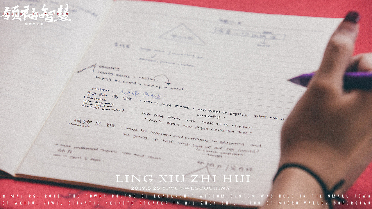 领袖智慧系统的力量