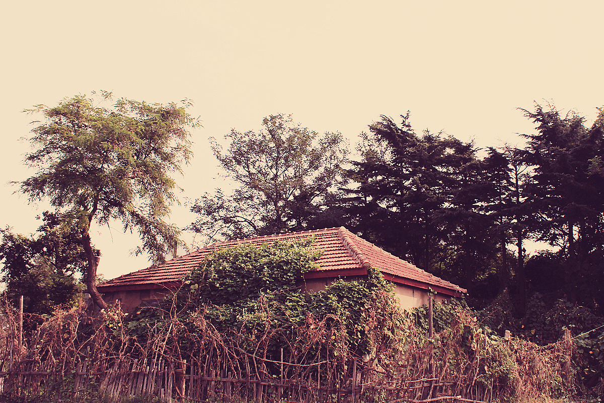 大青岛 小生活（图ZOTQ2NzE2NA==） - 风光摄影 - 站酷设计师mansonkorn原创素材 - 站酷ZCOOL