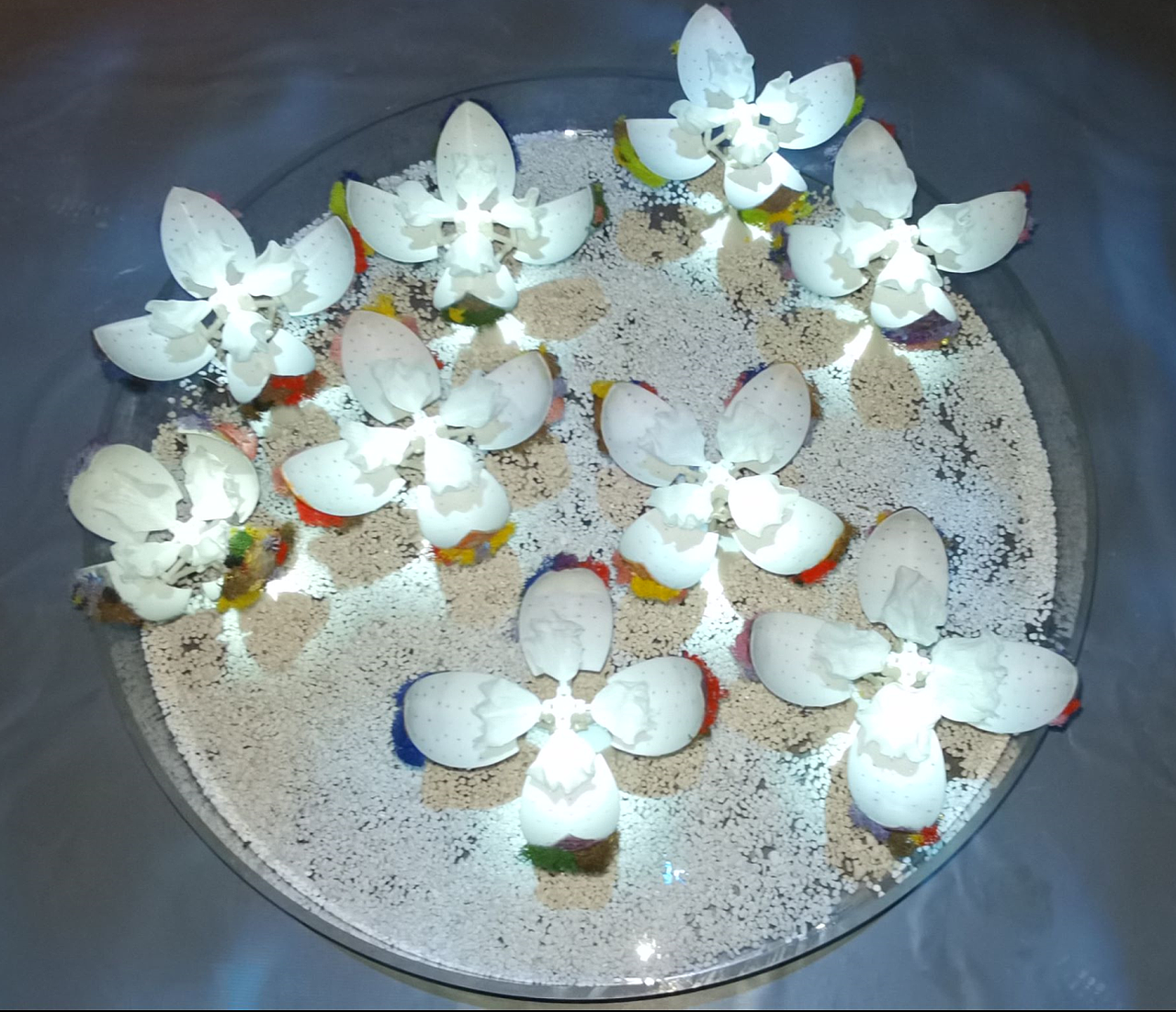 幻境之间（图ZMjYzNzkyNjY4） - 景观设计 - 站酷设计师LightHouseLAB原创素材 - 站酷ZCOOL