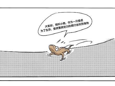 小爬的日常四格