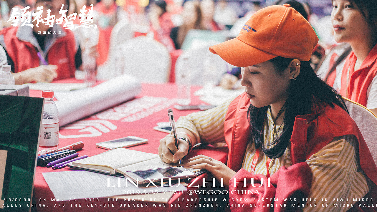 领袖智慧系统的力量