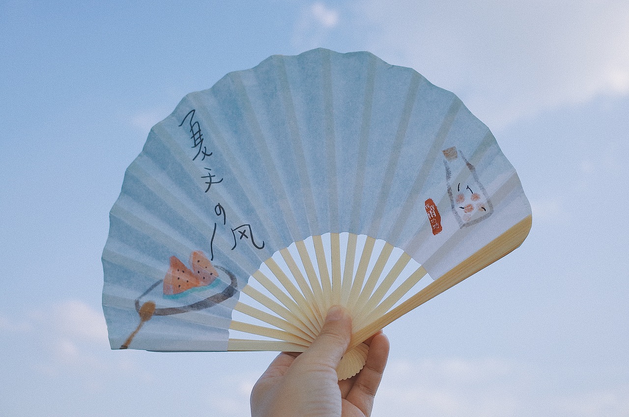 夏日清凉& 产品设计 扇子