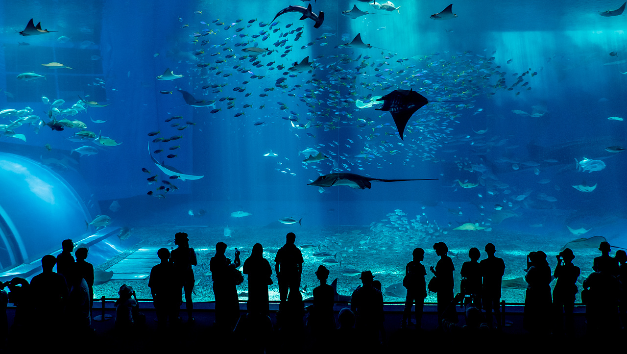 深海水族馆热带风情图片