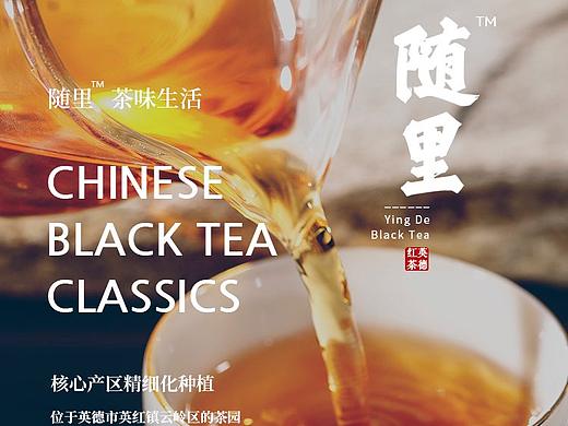 英德红茶：随里品牌拍摄（英红九号红茶与古树红茶）