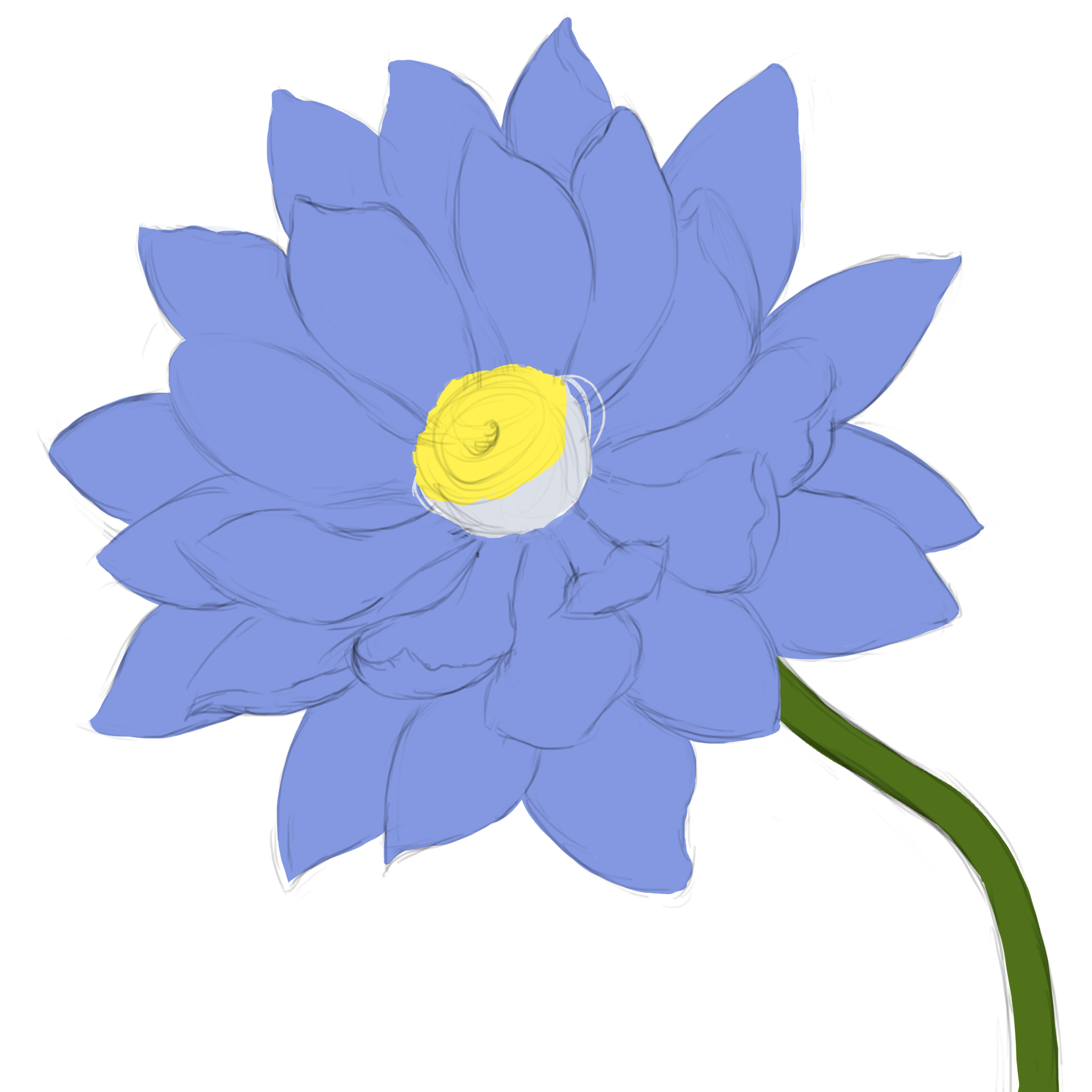 30 多张免费的“睡莲蓝”和“花”照片 - Pixabay
