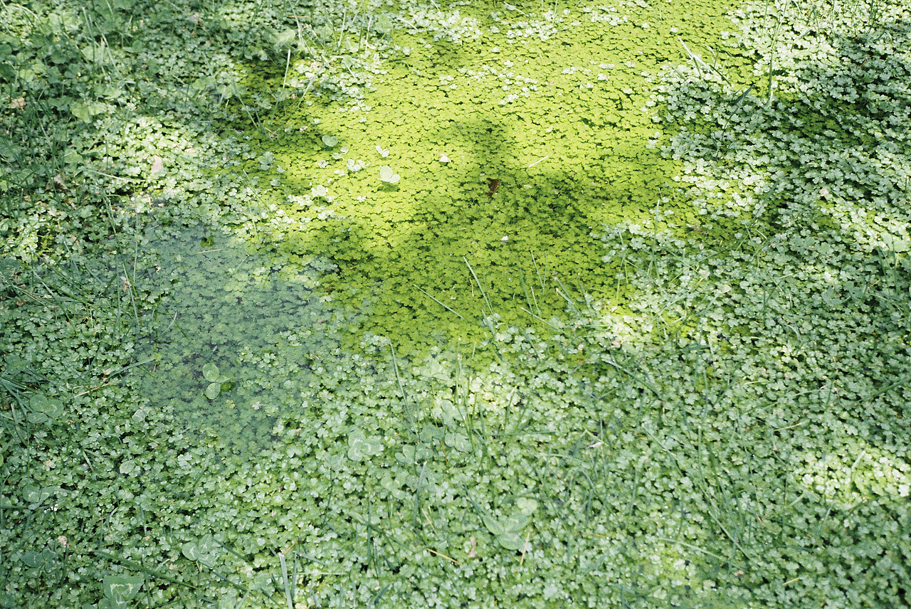 你的逸达（图ZMzAxOTAyMzE2） - 人像摄影 - 站酷设计师老陈不吃泡泡糖原创素材 - 站酷ZCOOL