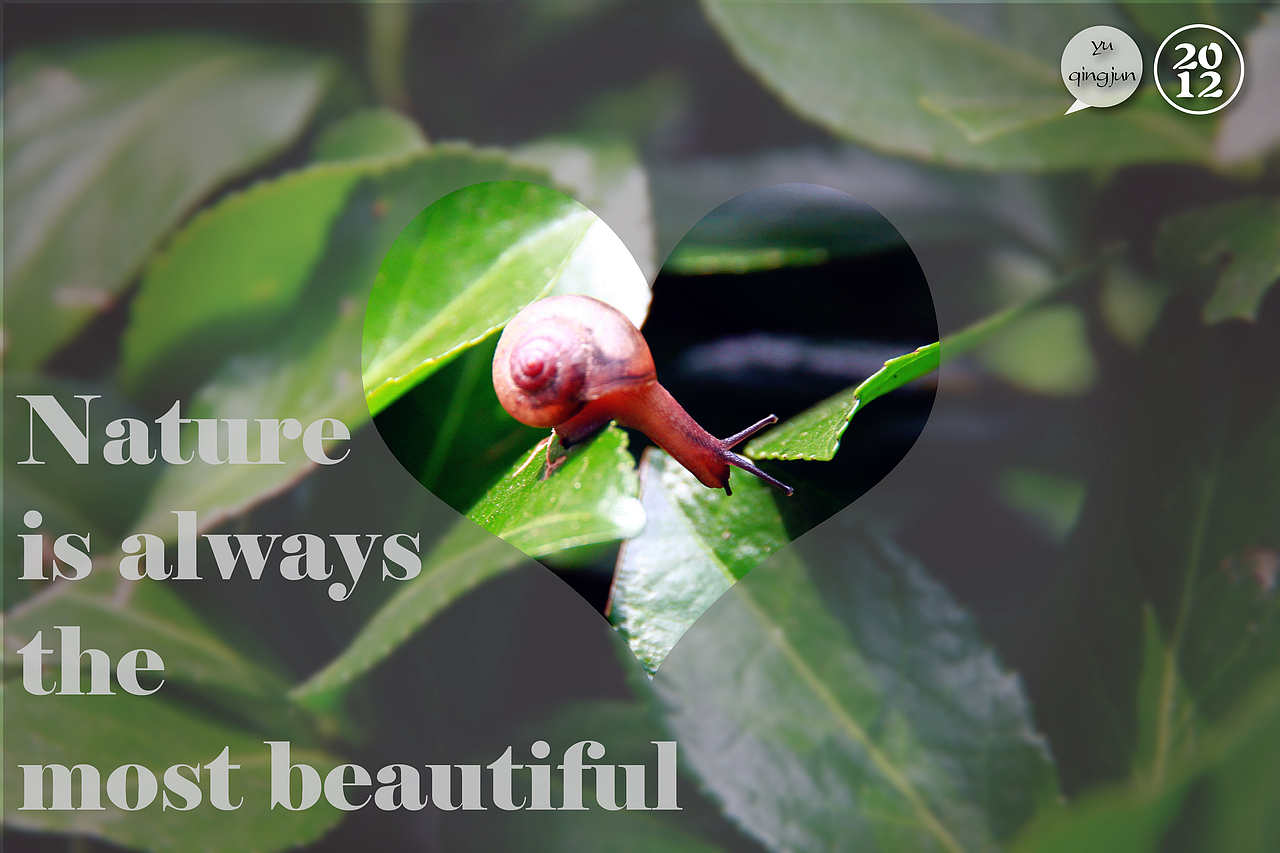 不配文字的照片不是好排版（图ZMTczNTAyODg=） - 修图/后期 - 站酷设计师小二黑拔牙原创素材 - 站酷ZCOOL