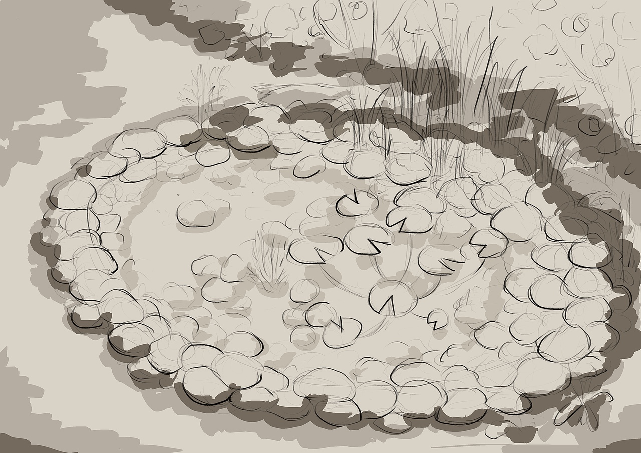 【治愈的花园】鱼池有鱼了(插画)