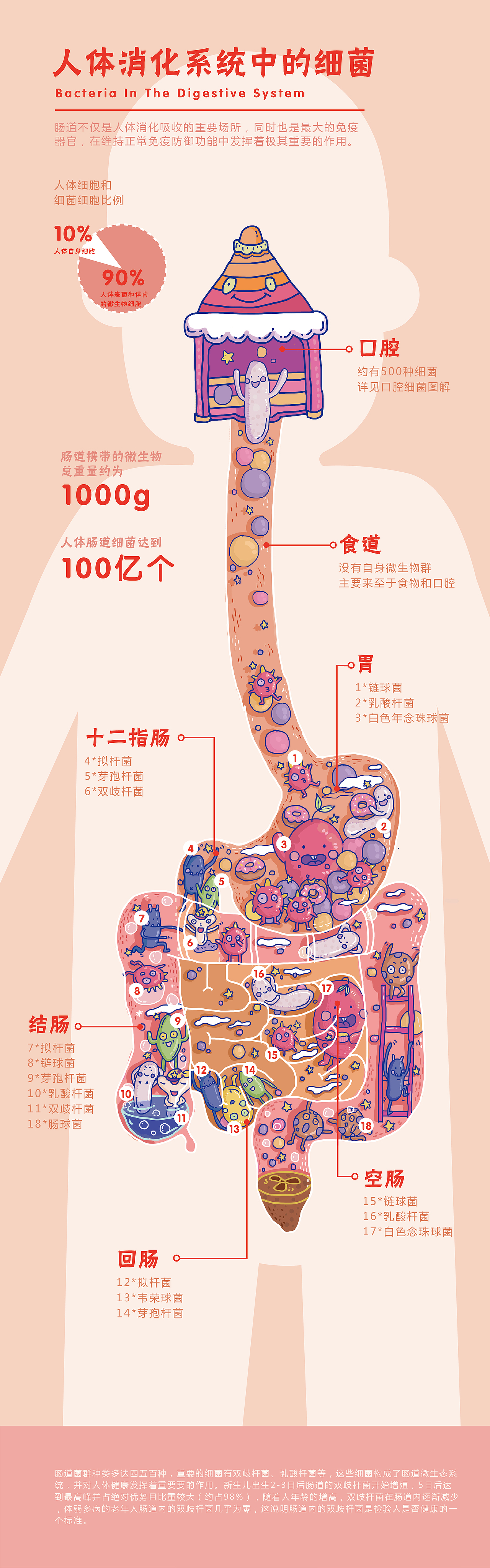 毕业设计|《细菌图鉴》part1#青春答卷2018#（图ZMTE3ODAzNjYw） - 图案 - 站酷设计师楠楠的南瓜地原创素材 - 站酷ZCOOL