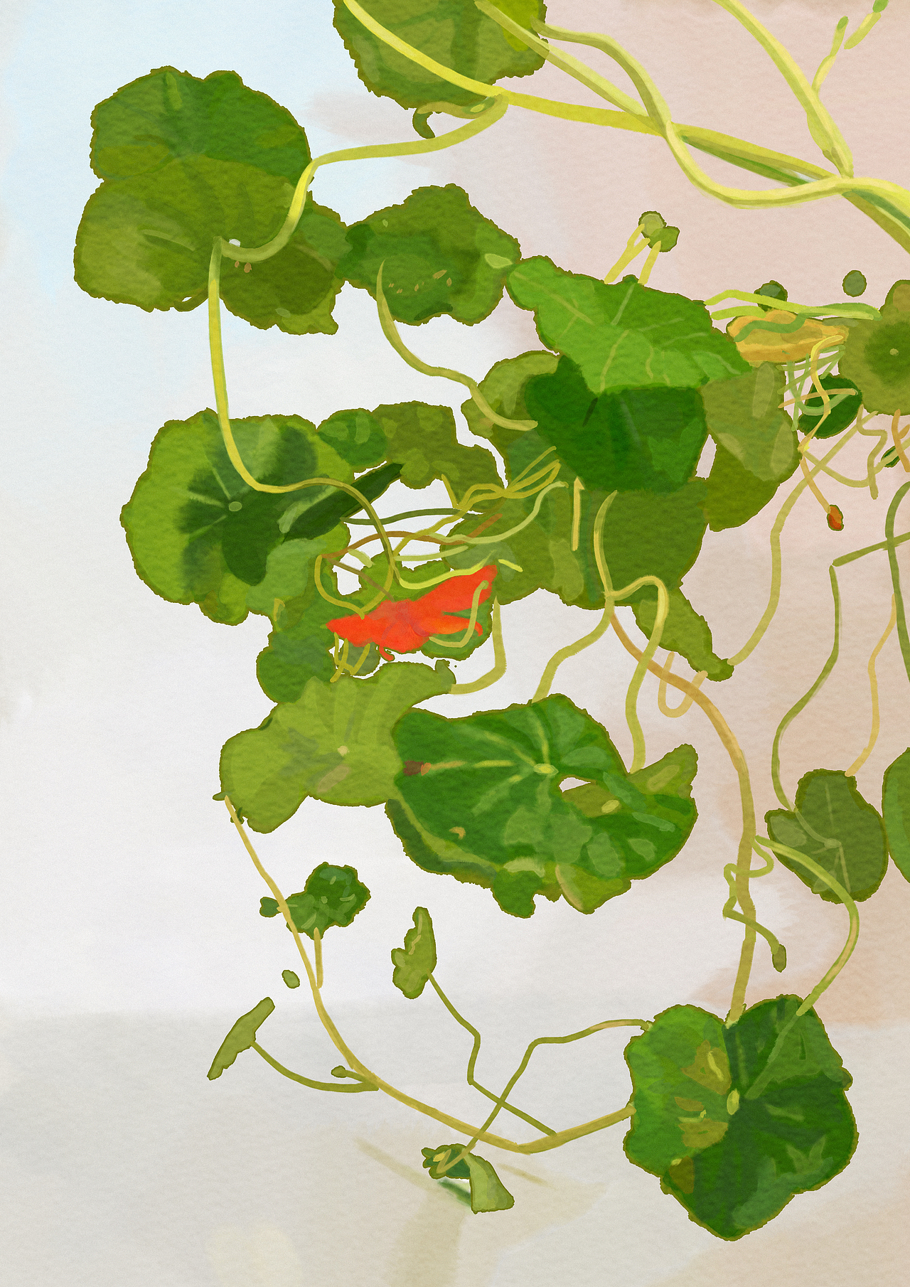 绘画星球打卡挑战36（图ZMzM2MjAyNTM2） - 绘画 - 站酷设计师沄闲YUNXIAN277原创素材 - 站酷ZCOOL