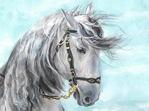 A horse