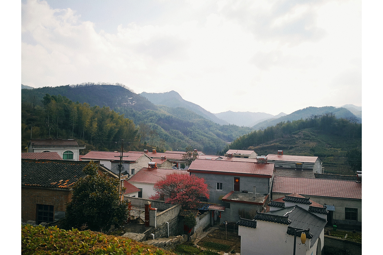 小梦的随手拍-第2期