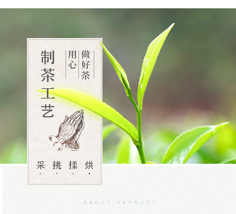 碧螺春绿茶（图ZMTUzMzc1Mzg4） - 电商 - 站酷设计师高文秀原创素材 - 站酷ZCOOL