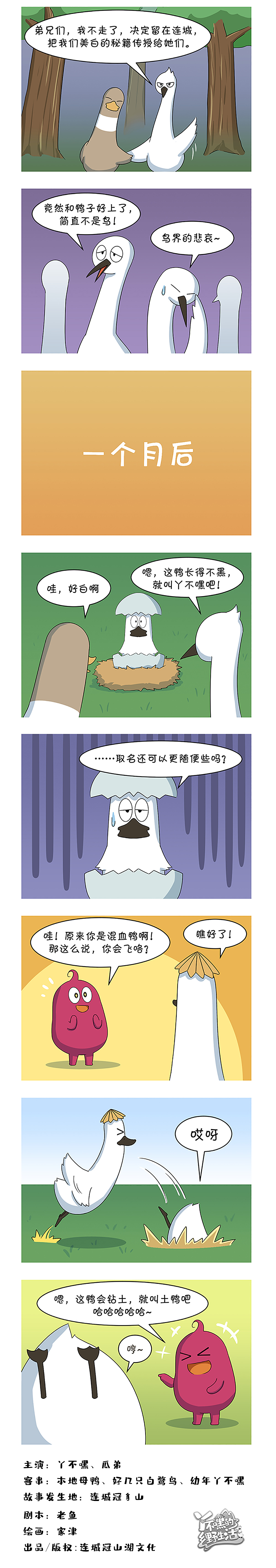 丫不嘿的乡野生活-连城白鸭到底会不会飞?!