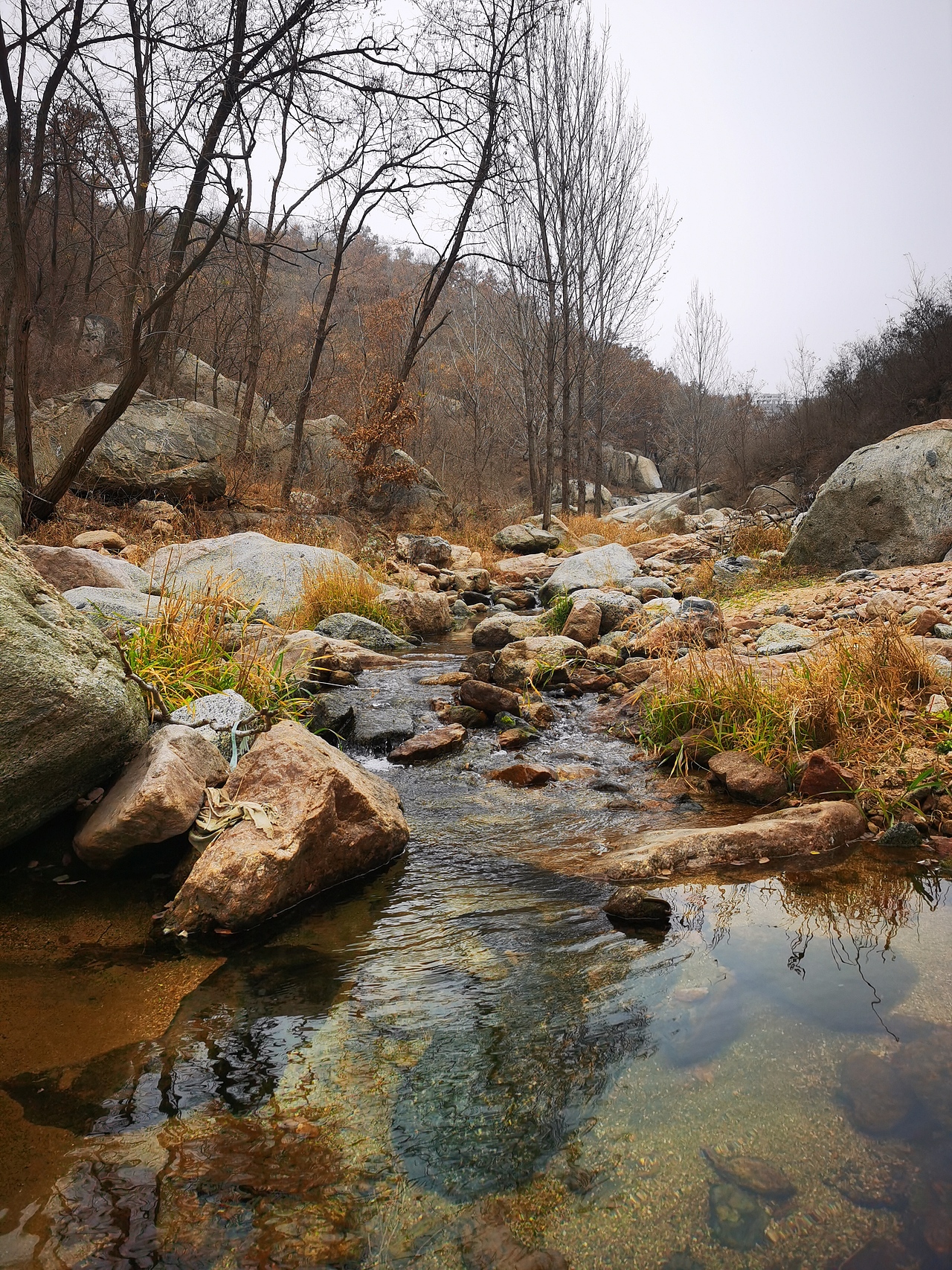 乡村（图ZMjMyNTY2Njg0） - 风光摄影 - 站酷设计师木麒麟原创素材 - 站酷ZCOOL