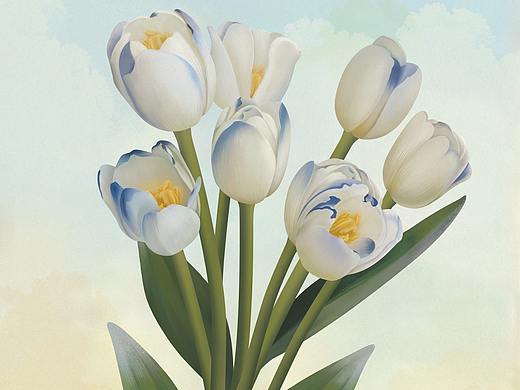 郁金香（個人主頁-ZNTYxMTQ2ODA=） - 繪畫 - 站酷設(shè)計師Aomer云醬原創(chuàng)素材 - 站酷ZCOOL