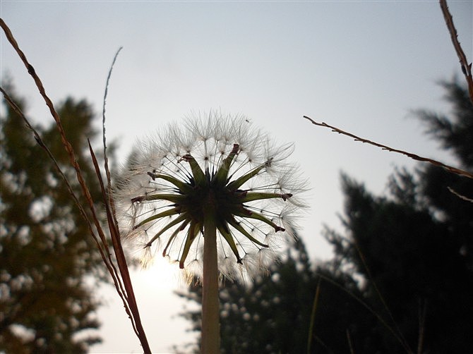 随意静（图ZNDk4Njg2OA==） - 风光摄影 - 站酷设计师visi原创素材 - 站酷ZCOOL