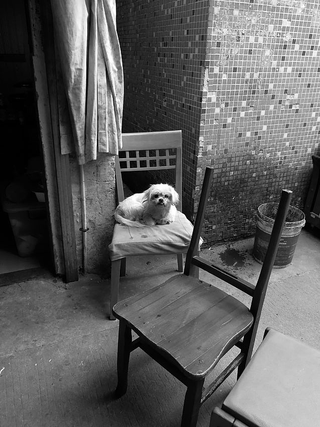 城市里的老百姓