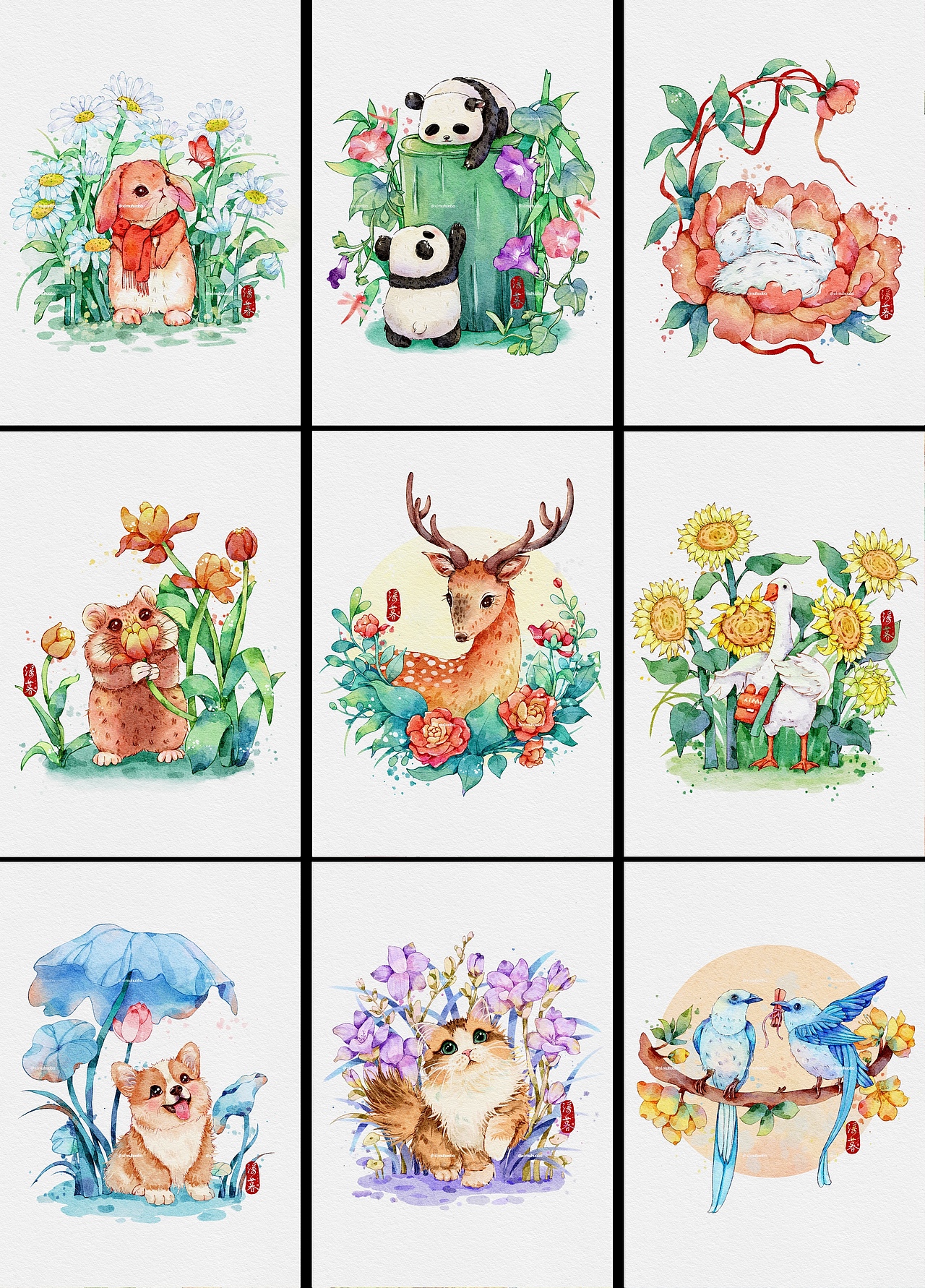原创插画|iPad动物水彩插画合集