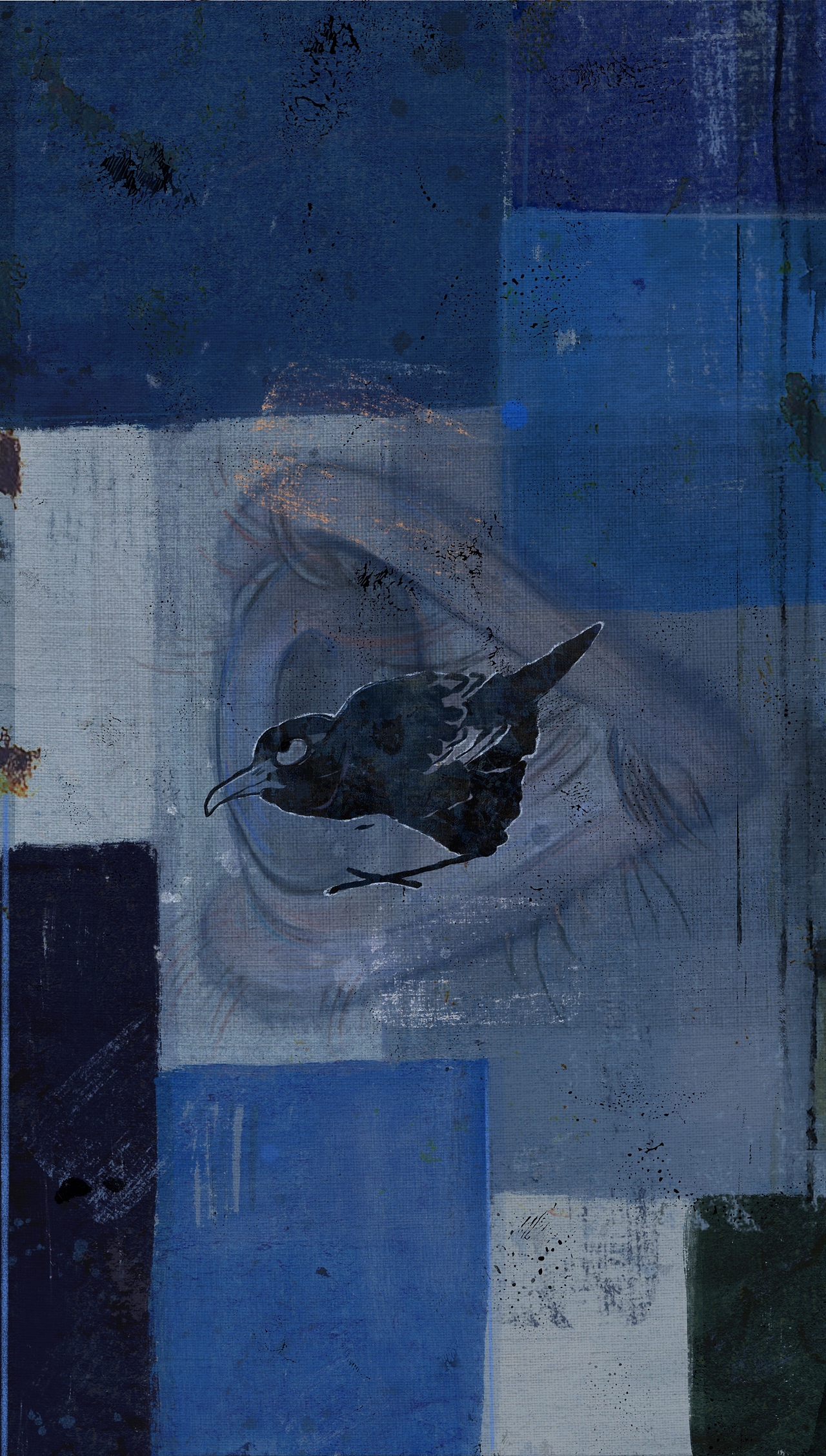 眼睛所及之处
或蓝或靛<br>相信真实<br>