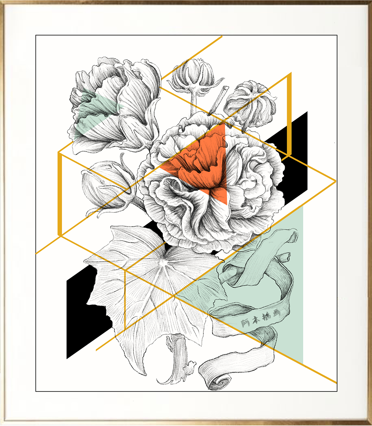 ------------------------------------分割线------------------------------------------