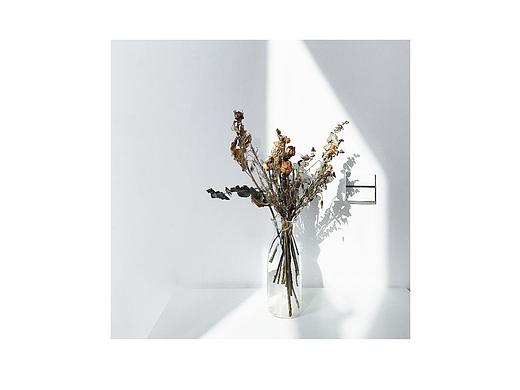温柔绯纱（个人主页-ZMzc0OTMxMDA=） - 产品摄影 - 站酷设计师颅内感官记录馆原创素材 - 站酷ZCOOL