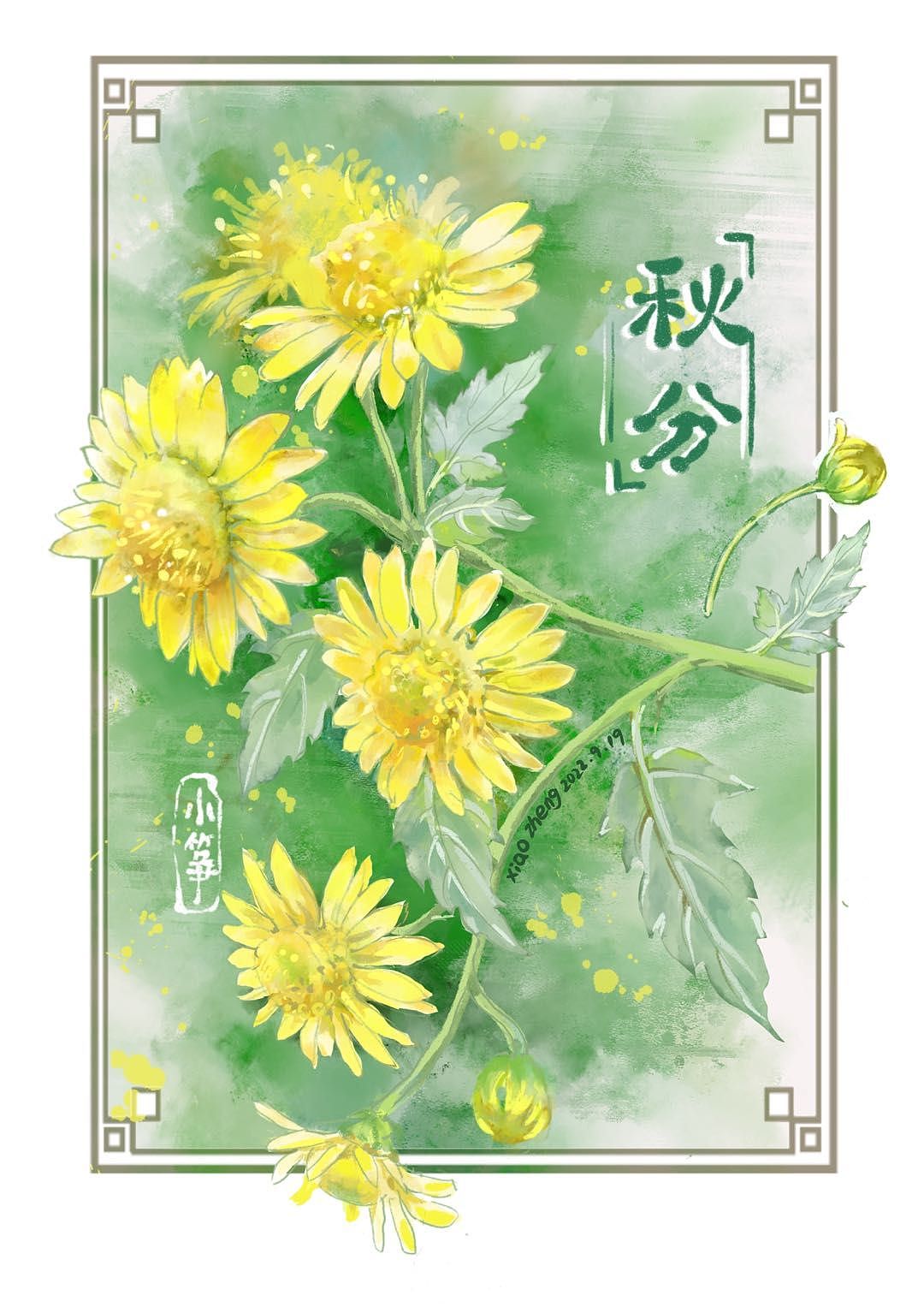 🌈一阵微风野菊香