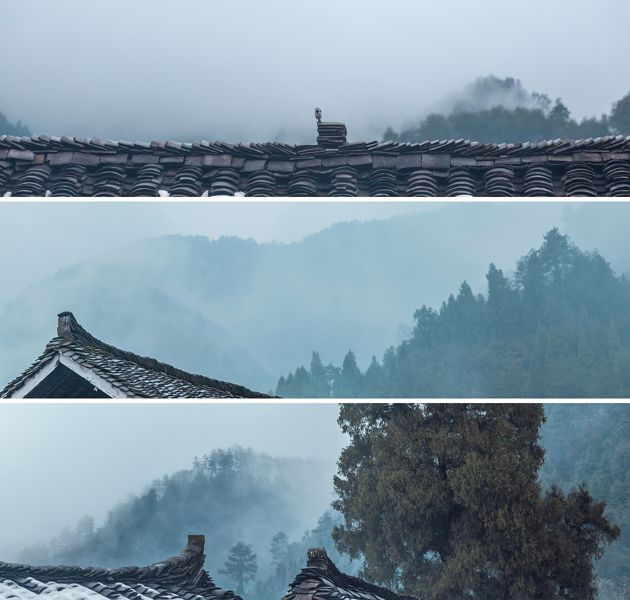 但愿人生所向,皆是美好。