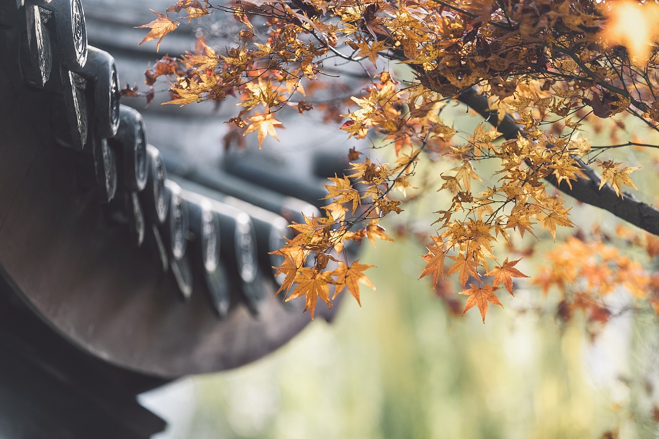 苏州周庄古镇秋日景色（图ZMjMwNDk1NDg4） - 风光摄影 - 站酷设计师延长线_31原创素材 - 站酷ZCOOL