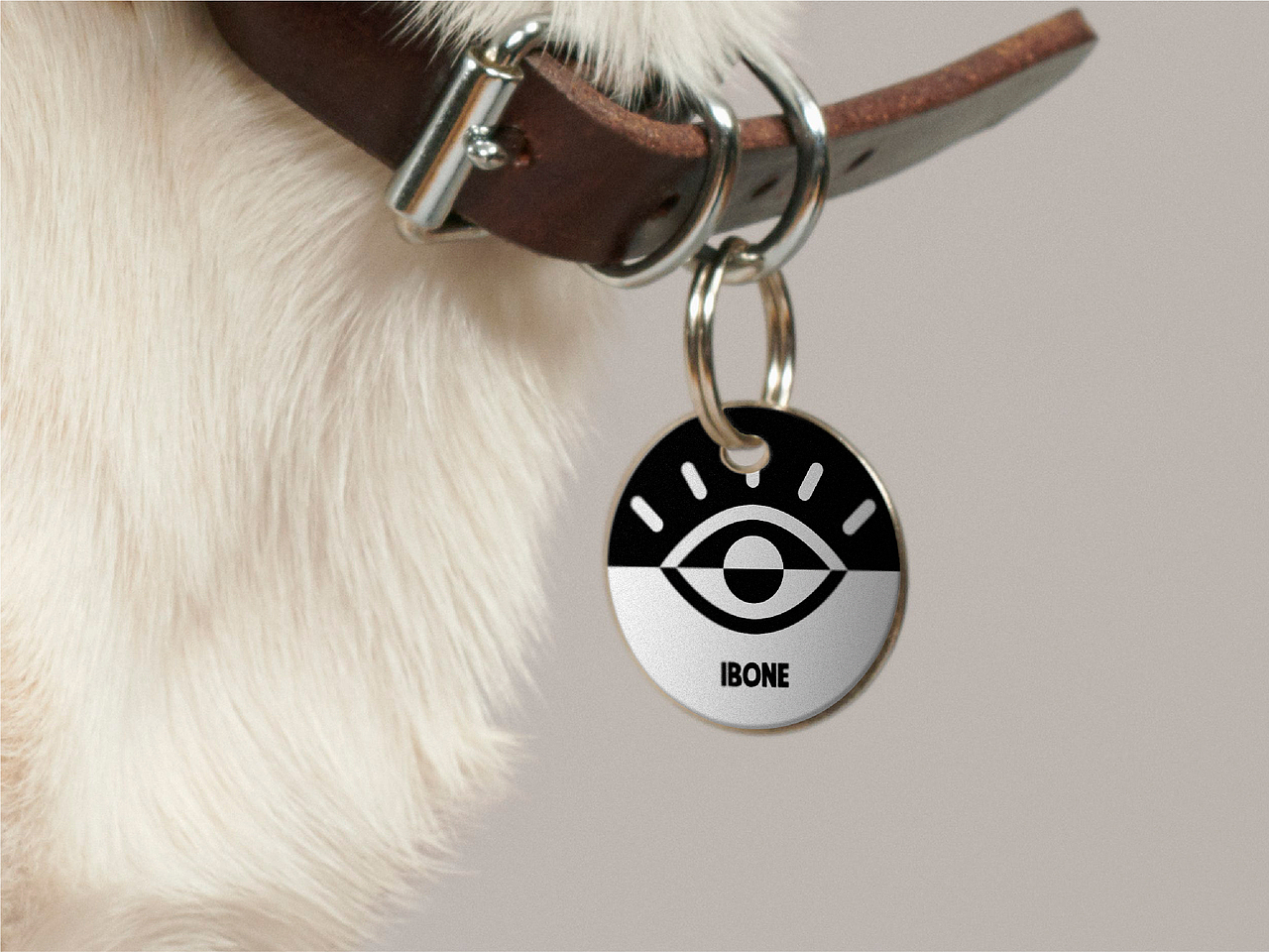 ibone宠物品牌LOGO、VI设计