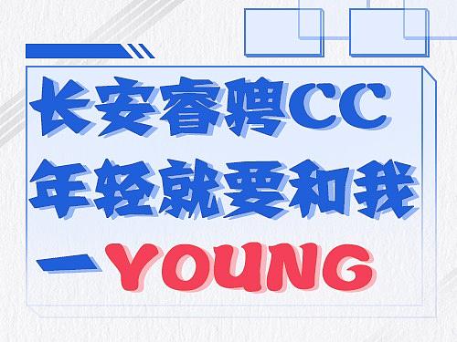 汽车长图