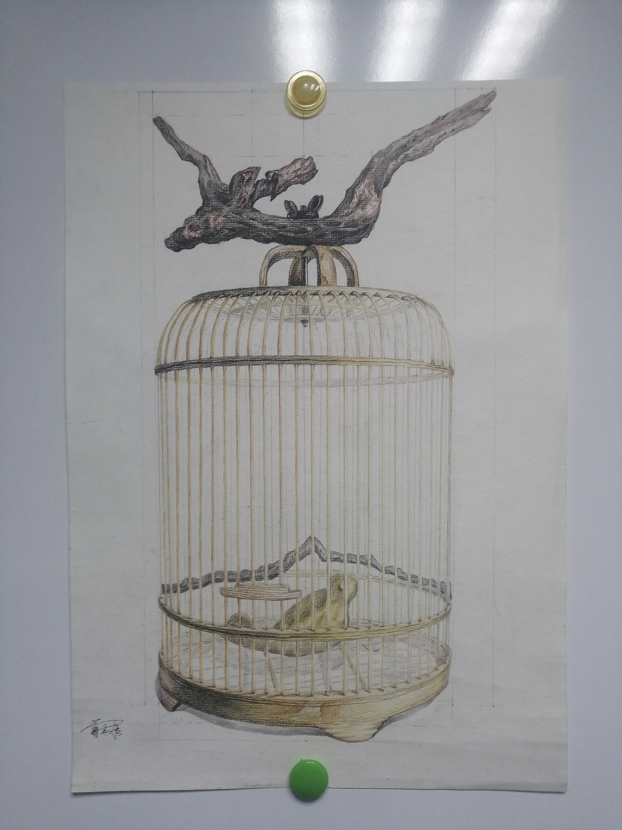 鸟笼|纯艺术|绘画|画雷 - 临摹作品 - 站酷 (zcool)