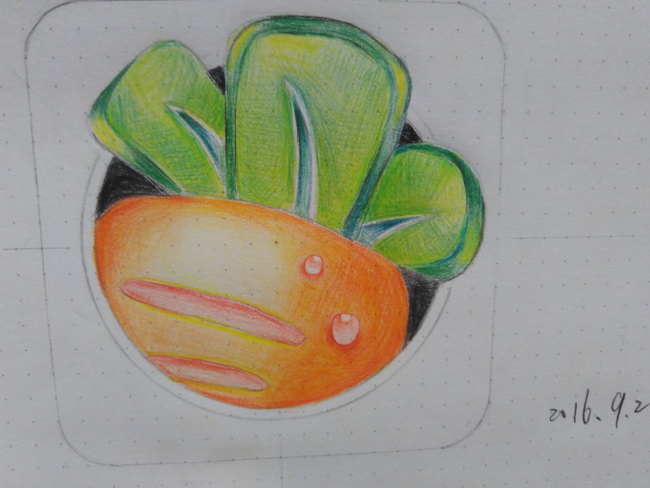 练习手绘 保卫萝卜 请多指教苏州 |          