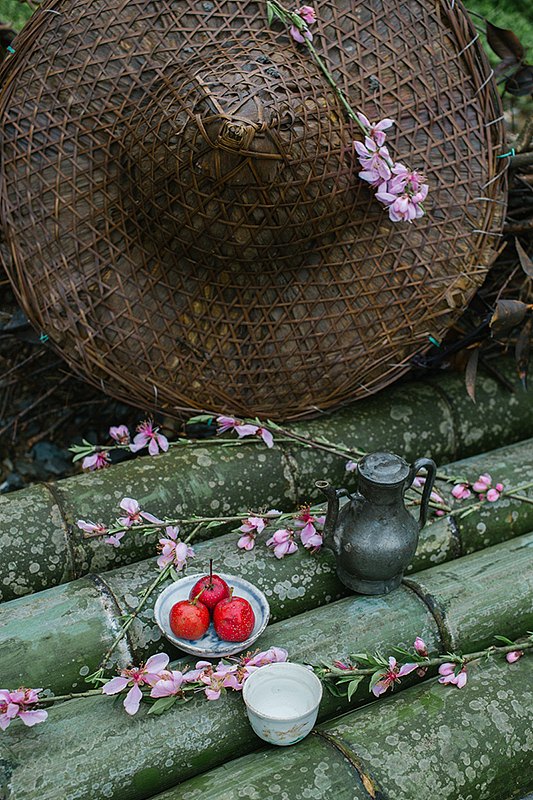 「山林食纪之丙申」山中岁月,海上心情