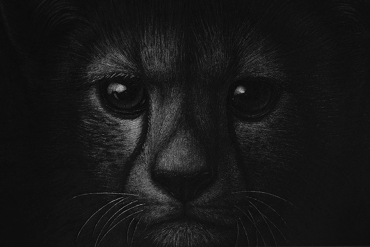 萌豹（图ZMTA3MDY4NDg4） - 绘画 - 站酷设计师finciel2014原创素材 - 站酷ZCOOL