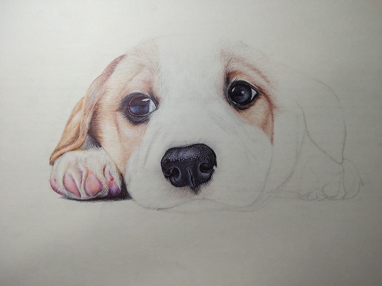 彩色圆珠笔(狗狗)